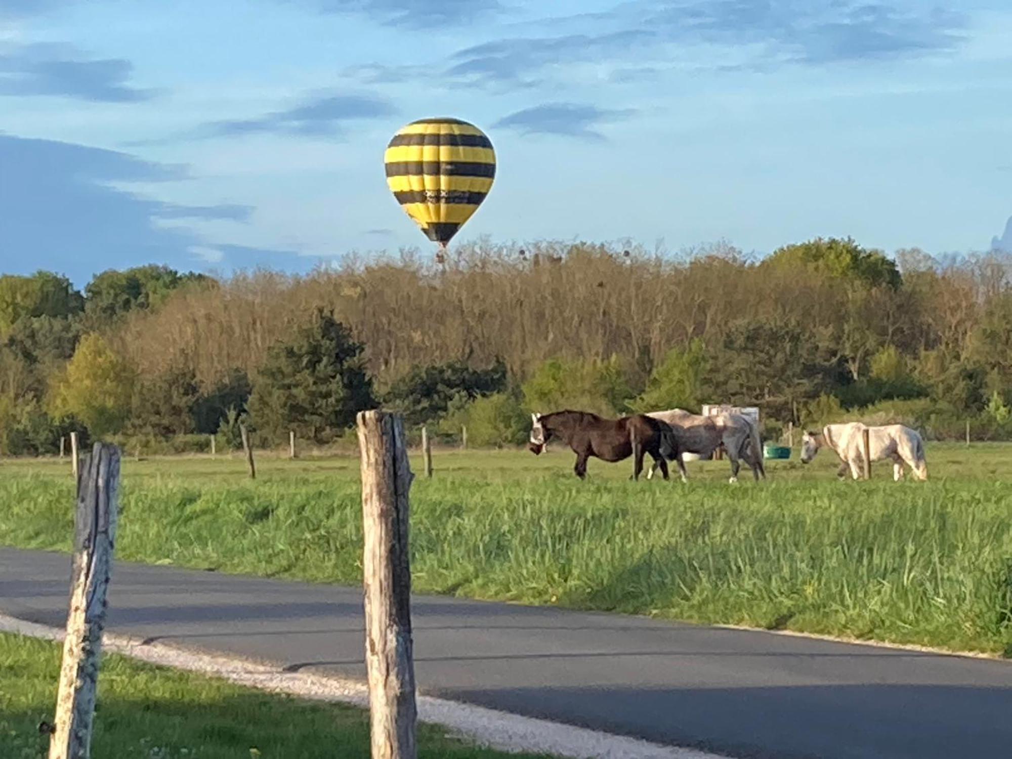 Gite De La Cazellerie Feings  Esterno foto